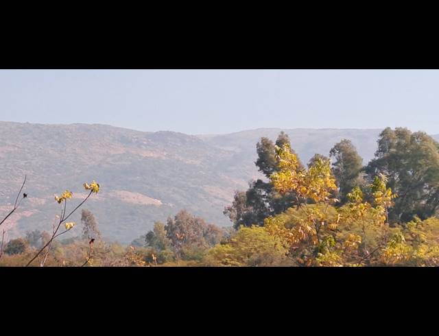 4.60HA SMALLHOLDING FOR SALE IN MODDERFONTEIN AH